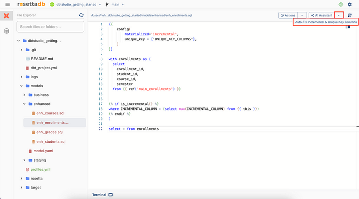 Rosetta DBT Studio Screenshot