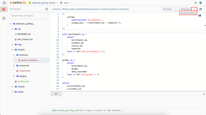 Rosetta DBT Studio Screenshot